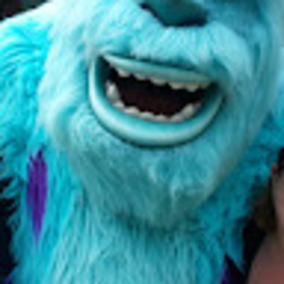 rayneuharth